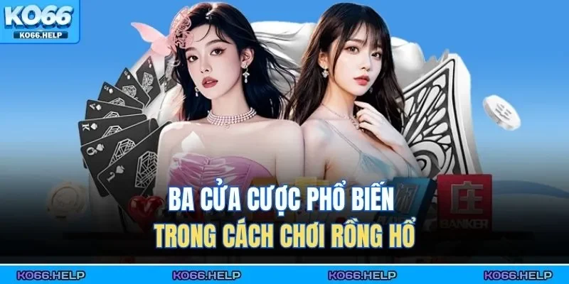 Ba cửa cược phổ biến trong cách chơi rồng hổ