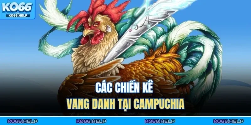 Đá Gà Thomo | Cập Nhật Lịch Thi Đấu Mới Nhất, Xem Live 24/7 2 Các chiến kê vang danh tại Campuchia