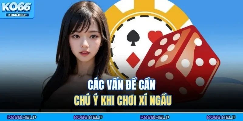 Cách Chơi Xí Ngầu - Cẩm Nang Vào Tiền Hiệu Quả 2025 2 Các vấn đề cần chú ý khi chơi xí ngầu