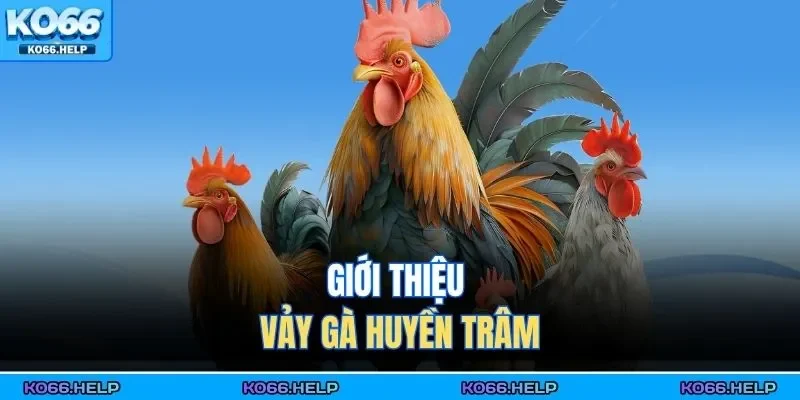 Vảy Gà Huyền Trâm | Cách Nhận Biết & Ý Nghĩa Phong Thủy 1 Giới thiệu vảy gà huyền trâm